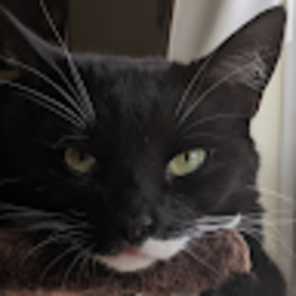 Meet your Posher, Thomas - Picture 1 of 1